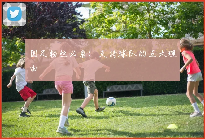 国足粉丝必看：支持球队的五大理由